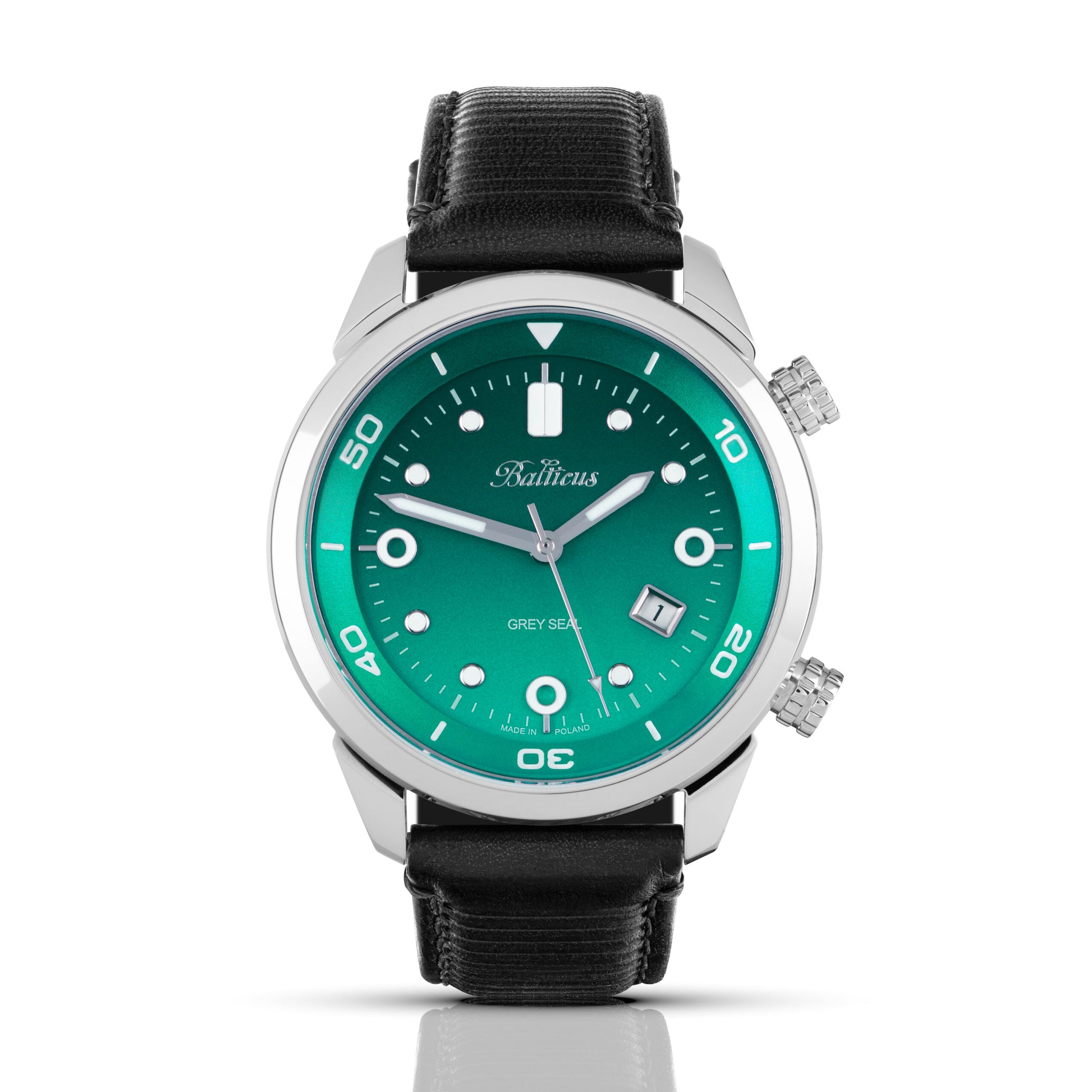 Balticus Grey Seal GSGRN - WatchUS.pl