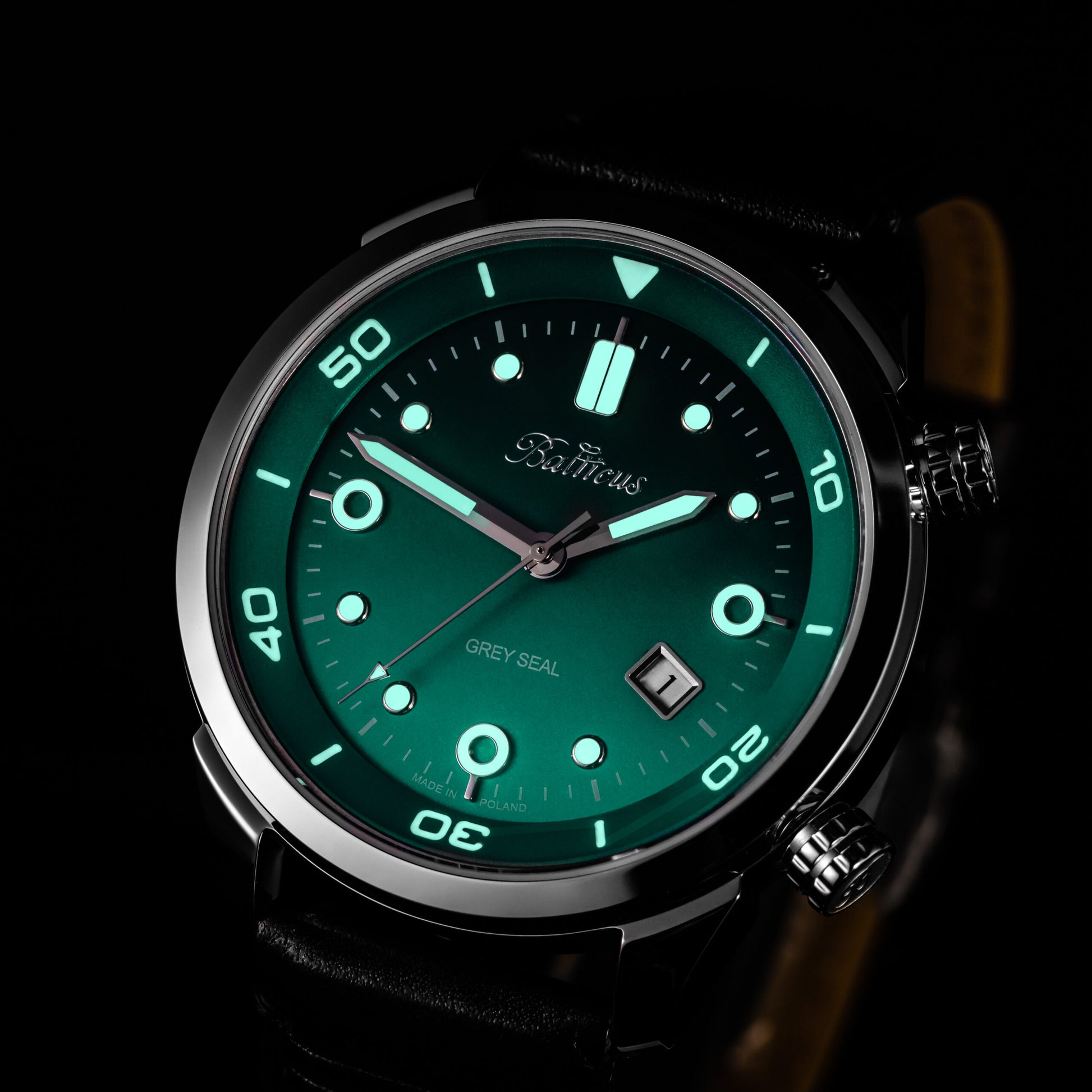 Balticus Grey Seal GSGRN - WatchUS.pl