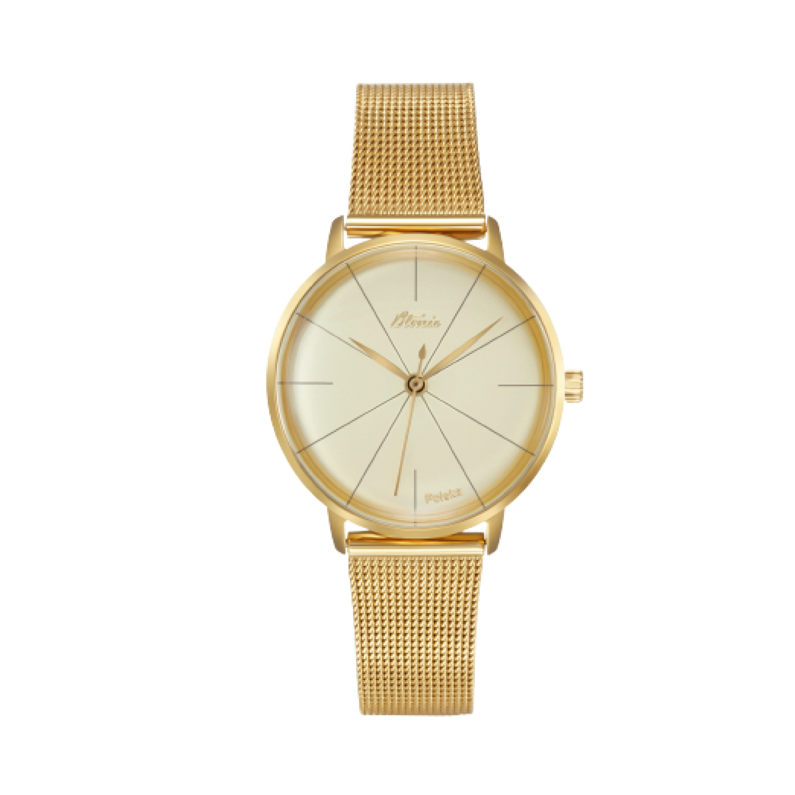 Zodiak Damski Rumianek - WatchUS.pl